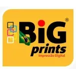 Ícone da BIGPRINTS COMUNICACAO VISUAL LTDA