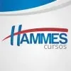 Ícone da HAMMES CURSOS E CAPACITACOES LTDA