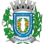 Ícone da CAMARA MUNICIPAL DE NARANDIBA