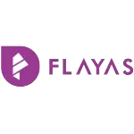 Ícone da FLAYAS CONSULTORIA DE NEGOCIOS E SISTEMAS LTDA