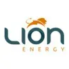 Ícone da LION ENERGY SERVICOS DE ELETRIFICACAO LTDA