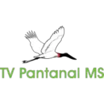 TV PANTANAL MS