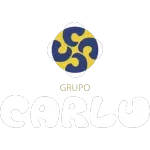 CARLU MANUFATURADOS LTDA