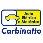 Ícone da AUTO ELETRICA CARBINATTO LTDA