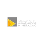 Ícone da BRASIL MINERACAO E TRANSPORTES LTDA