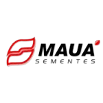 SEMENTES MAUA