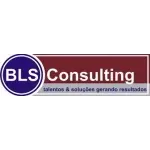 Ícone da BLS CONSULTING ASSESSORIA CONTABIL LTDA