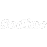 Ícone da SODINE SOCIEDADE DISTRIBUIDORA DO NORDESTE LTDA