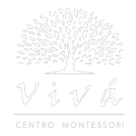 Ícone da VIVA CENTRO MONTESSORI DE SAO CARLOS LTDA