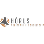 HORUS AUDITORIA E CONSULTORIASS LTDA