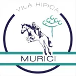 Ícone da VILA HIPICA MURICI LTDA