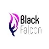 Ícone da BLACK FALCON IMPORTACAO E COMERCIO DE INFORMATICA LTDA