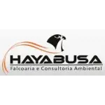 HAYABUSA FALCOARIA AMBIENTAL LTDA