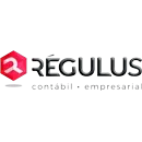 Ícone da REGULUS ORGANIZACAO CONTABIL LTDA