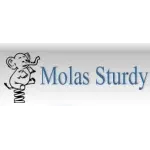 FABRICA DE MOLAS STURDY LTDA