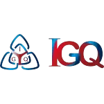 IGQ INDUSTRIA QUIMICA LTDA