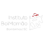 INSTITUTO BOIMAMAO