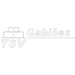 Ícone da TSV GABIOES CONSTRUCOES E TERRAPLENAGEM LTDA