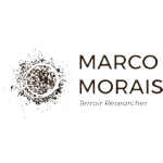 Ícone da MARCO ANTONIO FERREIRA DE MORAIS LTDA