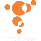 Ícone da TESSA TECNOLOGIA E DESENVOLVIMENTO LTDA