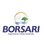 Ícone da BORSARI  ENGENHARIA E MEIO AMBIENTE LTDA