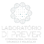 Ícone da LABORATORIO DI PREVER LTDA