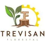 Ícone da TREVISAN FLORESTAL CONSULTORIA E NEGOCIOS LTDA