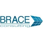 BRACE  CONSULTORIA EMPRESARIAL LTDA