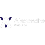 Ícone da ALEXANDRA COMERCIO DE VEICULOS E SERVICOS LTDA