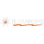 Ícone da FLOR E AROME INDUSTRIA E COMERCIO DE PRODUTOS QUIMICOS LTDA