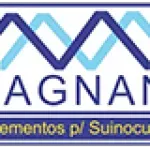 Ícone da MAGNANI  IMPLEMENTOS PARA SUINOCULTURA LTDA