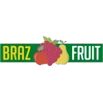 Ícone da BRAZ FRUIT INTERNATIONAL LTDA