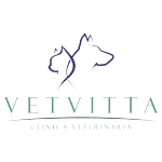 CLINICA VETERINARIA VETVITTA