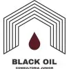 BLACK OIL CONSULTORIA JR