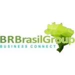 Ícone da BR BRASIL GROUP SERVICOS LTDA