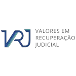 VRJ PARTICIPACOES LTDA