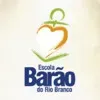 CAIXA ESCOLAR ESTEVAO PINTO DA ESCOLA ESTADUAL BARAO DO RIO BRANCO