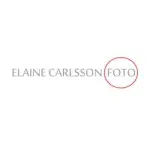 Ícone da ELAINE CARLSSON CURY