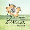 ZUCCA ALIMENTOS LTDA