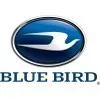 BLUE BIRD