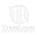 Ícone da TRANSLOPES TRANSPORTES E SERVICOS LTDA