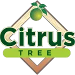 CITRUS TREE