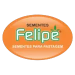 Ícone da SEMENTES FELIPE LTDA