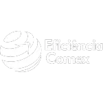 Ícone da EFICIENCIA COMERCIO EXTERIOR LTDA