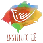 INSTITUTO TIE