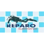 REPARO SUBMERSO