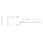 HOG COMERCIAL LTDA