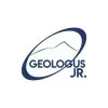 Ícone da GEOLOGUS JR