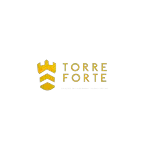 TORRE FORTE SOLUCOES EM CALDEIRARIA LTDA