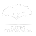 GUANABARA AGROPECUARIA E PARTICIPACOES LTDA